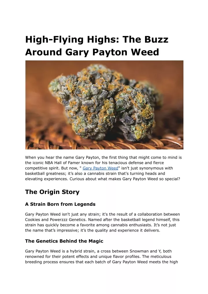 high flying highs the buzz around gary payton weed