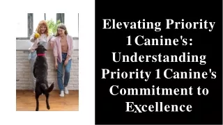 elevating priority 1 c a n i n e s understanding