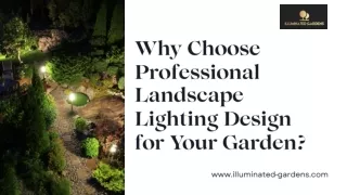 why choose professional landscape lighting design