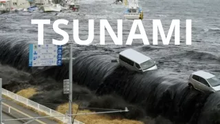 TSUNAMI NOTES