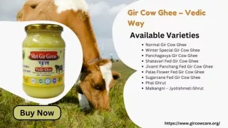 Gir Cow Ghee - Vedic Way