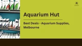 Aquarium Hut- Aquarium Background in Australia