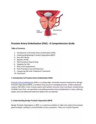 prostate artery embolization pae a comprehensive
