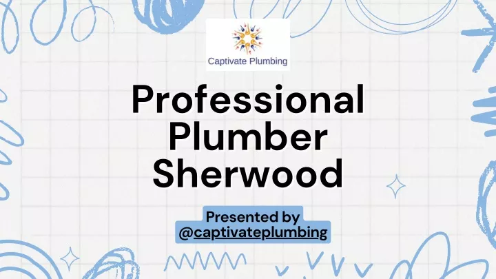 professional professional plumber plumber