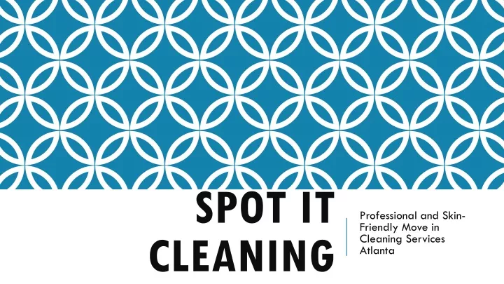 spot it cleaning