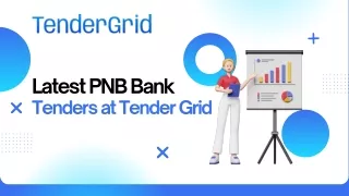 Latest PNB Bank Tenders at Tender Grid