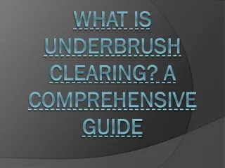 What is Underbrush Clearing? A Comprehensive Guide