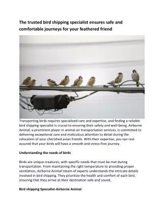 Airborne Animals: Premier Bird Shipping Specialists for Safe Relocation