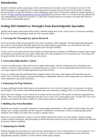 Sizing Search Engine Optimisation Initiatives: Techniques from Experienced Speci
