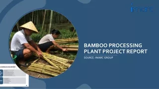 Bamboo Processing Plant Project Report