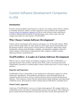Custom Software Development Companies In USA