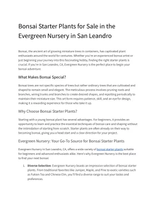 Bonsai Starter Plants for Sale in the Evergreen Nursery in San Leandro