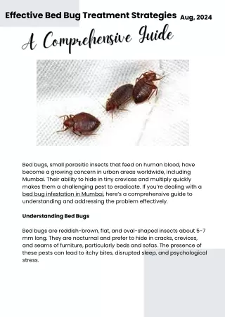 Effective Bed Bug Treatment Strategies in Mumbai: A Comprehensive Guide