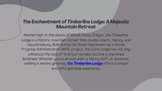 the Best Lodging with LodgingCompany Your Ultimate Guide to Comfort and Convenience
