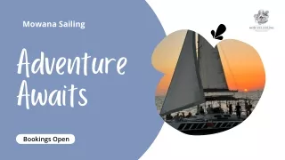 Sailing Trips for Solo Travelers - Mowana Sailing