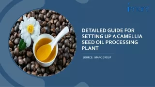 detailed guide for setting up a camellia seed