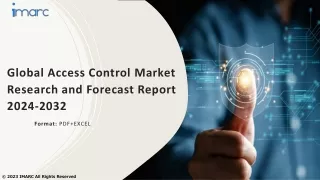 global access control market research