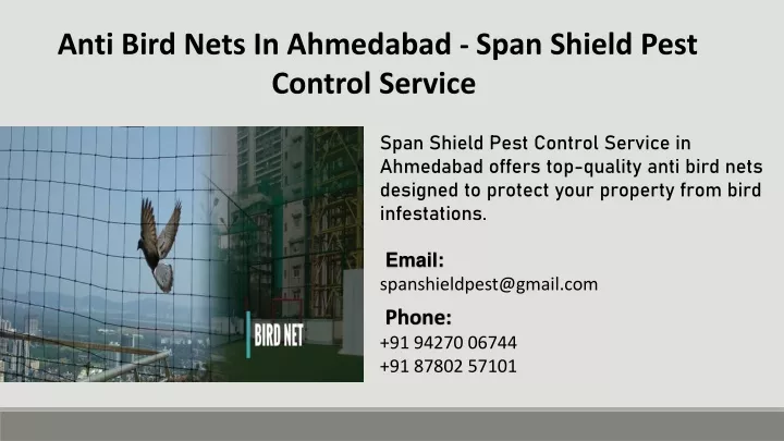 anti bird nets in ahmedabad span shield pest