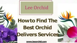 How to Find The Best Orchid Delivery Services