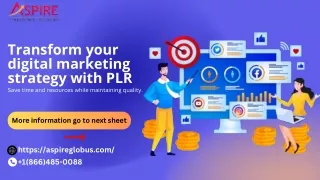 Transform your digital marketing strategy with PLR