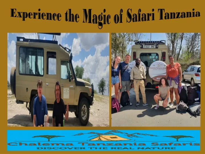 experience the magic of safari tanzania