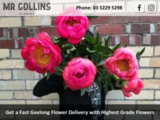 Get a Fast Geelong Flower Delivery with Highest Grade Flowers