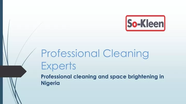 professional cleaning experts