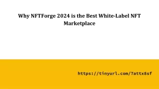 Why NFTForge 2024 is the Best White-Label NFT Marketplace