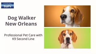 Dog Walker in New Orleans - K9 Second Line
