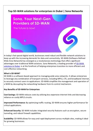 Top  SD-WAN solutions for enterprises in Dubai (1)