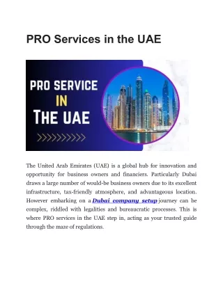 PRO Services in the UAE