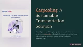 "RideBuddy: Revolutionizing Urban Travel in New Delhi"