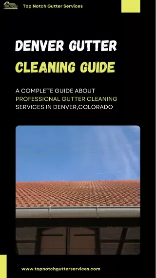 Denver Gutter Cleaning Guide