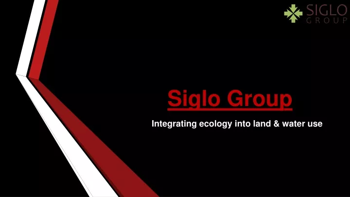 s iglo group