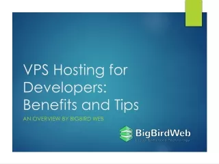 vps hosting for developers benefits and tips