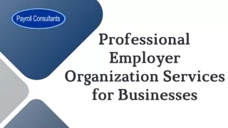 professional employer organization services