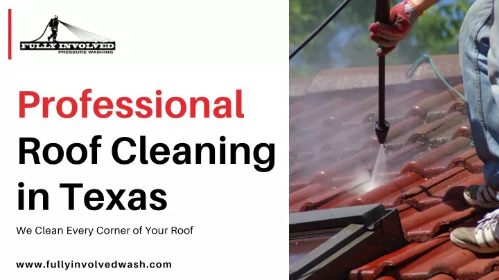 professional roof cleaning in texas we clean