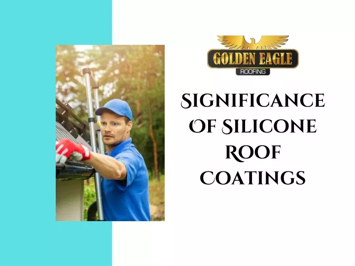 significance of silicone roof coatings