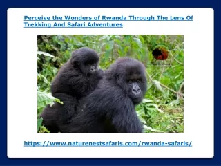 Perceive the Wonders of Rwanda Through The Lens Of Trekking And Safari Adventures