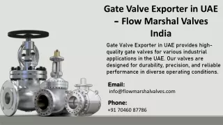 Gate Valve Exporter in UAE - Flow Marshal Valves India