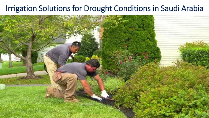 irrigation solutions for drought conditions