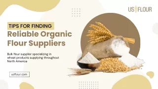 Tips for Finding Reliable Organic Flour Suppliers