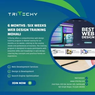 6 Months /Six Weeks Web Design Training Mohali