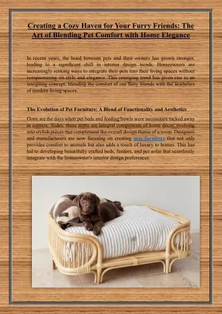 Creating a Cozy Haven for Your Furry Friends