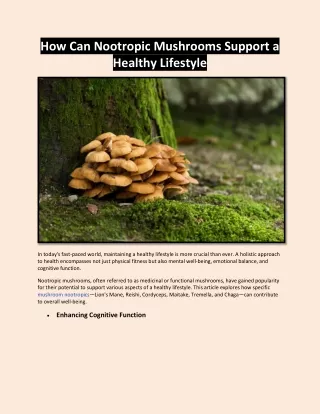 How Can Nootropic Mushrooms Support a Healthy Lifestyle