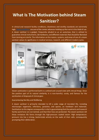 What Is The Motivation behind Steam Sanitizer?