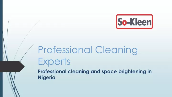 professional cleaning experts professional