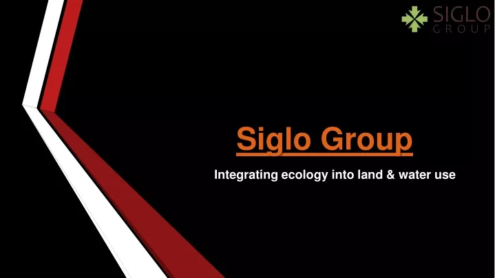 siglo group