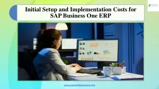 Initial Setup and Implementation Costs for SAP Business One ERP