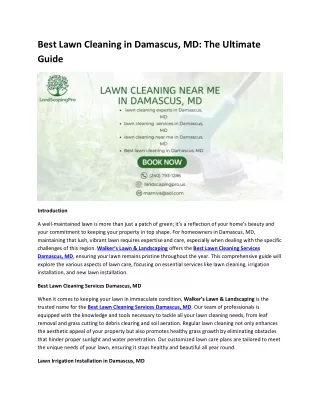Best Lawn Cleaning in Damascus, MD The Ultimate Guide